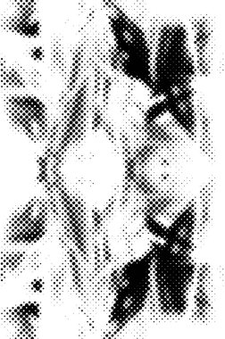 metin için boşluk ile siyah ve beyaz noktalı grunge arkaplan 