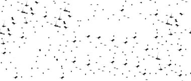 Siyah ve beyaz dokular. resim siyah ve beyaz tonları içerir. 