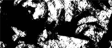 siyah beyaz tek renkli arka plan