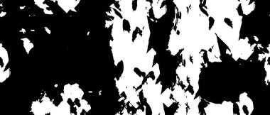 siyah beyaz tek renkli arka plan