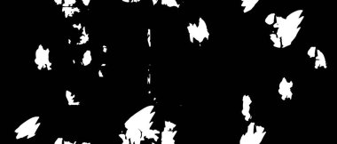 monochrome texture black and white tones.