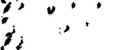 monochrome texture black and white tones.