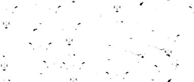 Grunge üst üste biniyor. Soyut siyah-beyaz vektör arkaplanı. Çatlak, leke ve noktalarda kirli desenli tek renkli klasik yüzey. Karanlık korku tarzında eski bir duvar.