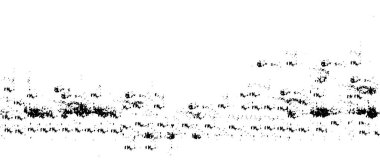  Soyut siyah-beyaz vektör arkaplanı. Tek renkli vintage yüzey 