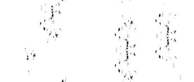 Grunge üst üste biniyor. Soyut siyah-beyaz vektör arkaplanı. Çatlak, leke ve noktalarda kirli desenli tek renkli klasik yüzey. Karanlık korku tarzında eski bir duvar.