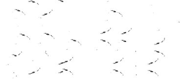 Grunge black and white pattern. Monochrome particles abstract texture. Background of cracks, scuffs, chips, stains, ink spots, lines. Dark design background surface. Gray printing element