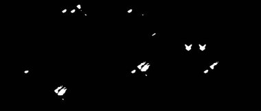 Grunge üst üste biniyor. Soyut siyah-beyaz vektör arkaplanı. Çatlak, leke ve noktalarda kirli desenli tek renkli klasik yüzey. Karanlık korku tarzında eski bir duvar.