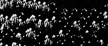 Çizik ve çizgilerle siyah beyaz dokuda sıkıntılı bir arkaplan 