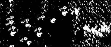 Grunge üst üste biniyor. Soyut siyah-beyaz vektör arkaplanı. Çatlak, leke ve noktalarda kirli desenli tek renkli klasik yüzey. Karanlık korku tarzında eski bir duvar.