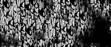 noktalı ve benekli siyah beyaz arkaplan 