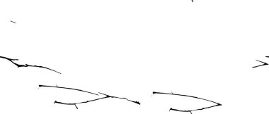 noktalı ve benekli siyah beyaz arkaplan 