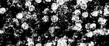 Soyut arkaplan. monokrom dokusu. resim siyah ve beyaz tonları içerir. 