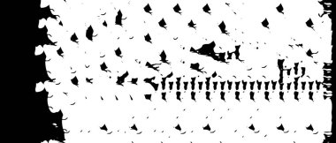 Monokrom Doku Vektörü Soyut Kusursuz Siyah ve Beyaz Grunge Arkaplanı