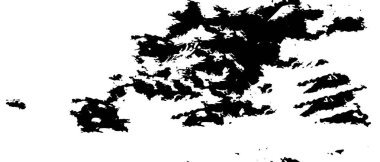 Monokrom Doku Vektörü Soyut Kusursuz Siyah ve Beyaz Grunge Arkaplanı