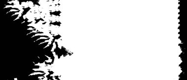 monokrom dokusu, soyut siyah beyaz arkaplan