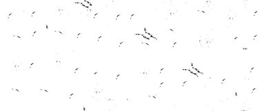 monokrom dokusu. resim siyah ve beyaz tonları içerir.