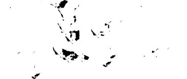 Siyah ve beyaz dokulu soyut arka plan 