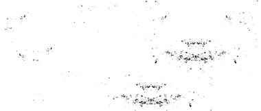 soyut arkaplan, siyah ve beyaz tonların efektlerini içeren resim.