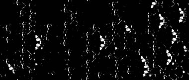 Soyut arkaplan. Monokrom dokusu