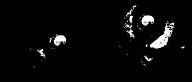 Grunge üst üste biniyor. Soyut siyah-beyaz vektör arkaplanı. Çatlak, leke ve noktalarda kirli desenli tek renkli klasik yüzey. Karanlık korku tarzında eski bir duvar.