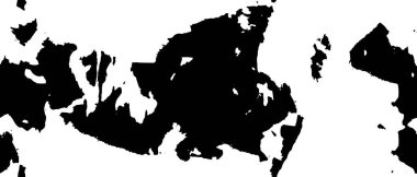 Soyut arkaplan. Monokrom dokusu. Resim siyah ve beyaz tonları içerir.