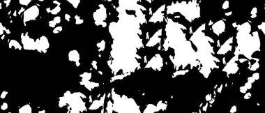 Tek renkli grunge dokusu. siyah ve beyaz arkaplan