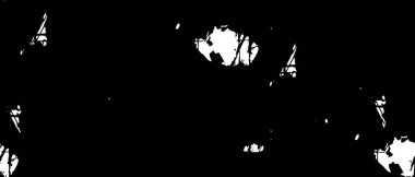 Tek renkli noktalı grunge dokusu. siyah ve beyaz arkaplan