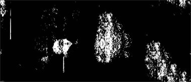 Soyut arkaplan. Monokrom dokusu. Siyah ve beyaz desenli arkaplan.