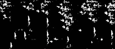 Grunge dokusu. siyah ve kaba arkaplan 