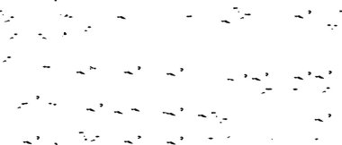 Tek renkli noktalı grunge dokusu. Noktalı siyah beyaz arkaplan. 