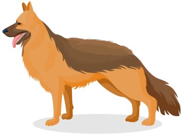 Köpek evcil hayvanı. vektör illüstrasyonu.