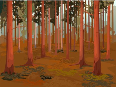 Ormandaki güzel ağaçlar, vektör çizimleri