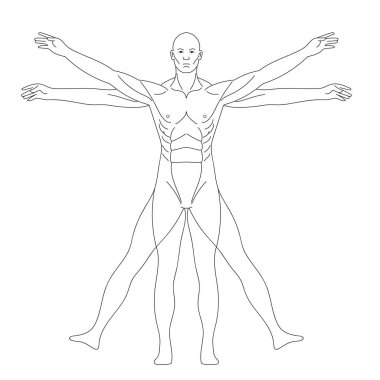 İnsan vücudu anatomisi çizimi