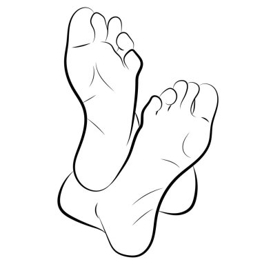 Beyaz arka planda izole insan ayakları, vektör illüstrasyonu              