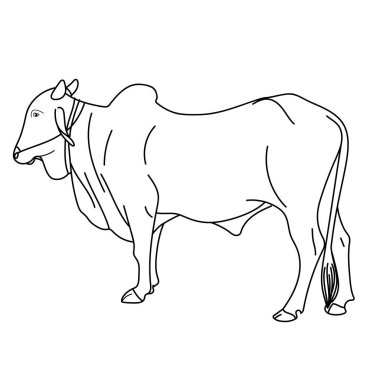 Beyaz arkaplanda izole edilmiş boğa, vektör illüstrasyonu     