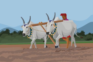 Hint çiftçi tarlada boğalarla ve sabanla çalışıyor, vektör illüstrasyonu  