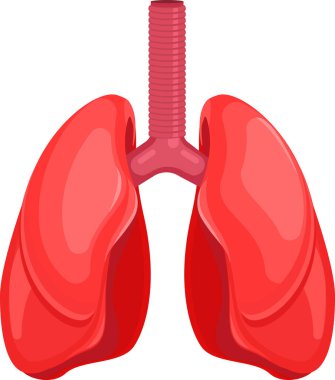 İnsan ciğerleri ikonu. vektör illüstrasyonu