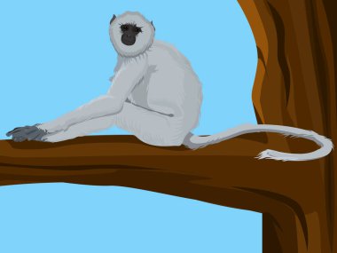 Ağaçta oturan maymunun resmi, vektör