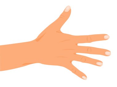 Beyaz arka planda insan eli simgesi. Elini Aç