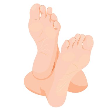 Kadın Ayakları, İnsan Ayakları. taban, topuk ve ayak parmakları, sağlıklı deri, ayak tırnakları, vücut parçası, insan anatomisi elementleri.,