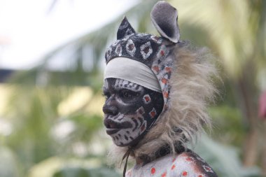 Kaplan dansı, huli vesha ya da Krishna Janmashtami kutlamaları sırasında gösteriler ve dublörler