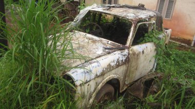 Terk edilmiş eski klasik arabalar, eski araba, paslı, yosunlu, terk edilmiş araba.