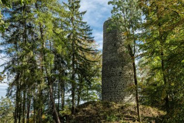Cernosin, Çek Cumhuriyeti - 13 Ekim 2023: Ormandaki bir tepede duran yıkılmış Volfstejn şatosunun manzarası. Taş kule yeniden inşa ediliyor. Mavi gökyüzüyle güneşli bir sonbahar günü. 