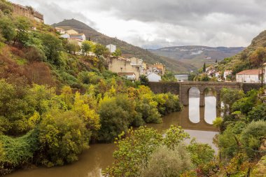 Portekiz 'deki Douro Vadisi şaraphanelerinde üzüm ve manzara