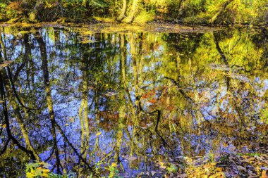 Güzel bir tabiat manzarası Sonbahar manzarası