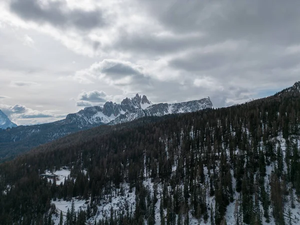 Dağlarda Karla Kaplı Ağaçlarla Kaplı Güzel Bir Manzara — Stok fotoğraf