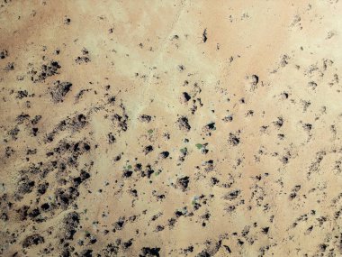 Gökyüzü arka planına sahip kumlu bir bölgede uçan bir kuş.