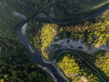 Ormandaki nehrin güzel bir görüntüsü