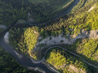 Nehrin yeşil ağaçlı havadan görünüşü