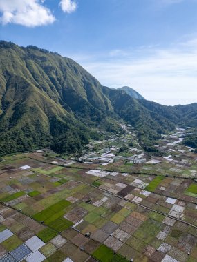 Filipinler 'deki pirinç teraslarının havadan görünüşü